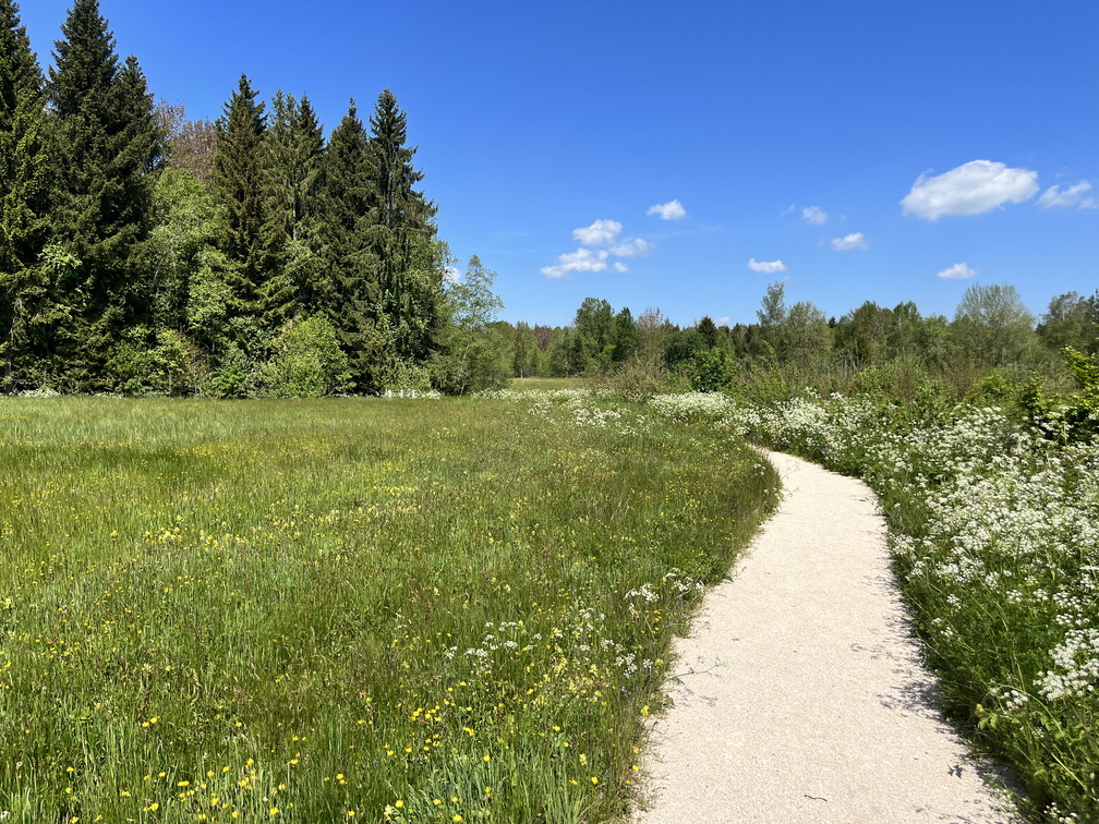 23-05-27 11-44-30 5729